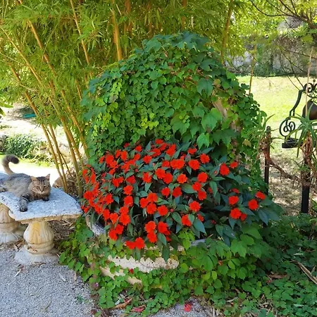 De Charme A Avec Piscine Privee La Gaude